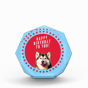Cute Siberian Husky Happy Birthday blue red dots Award