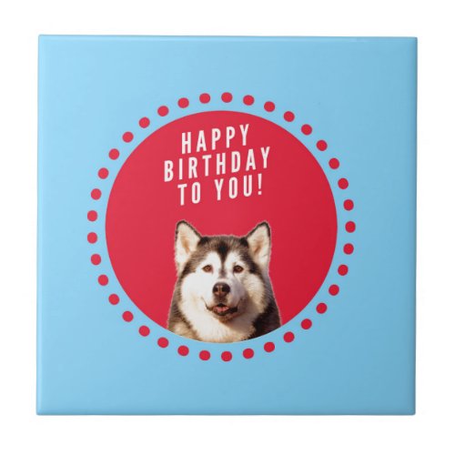 Cute Siberian Husky Happy Birthday blue red dots Ceramic Tile