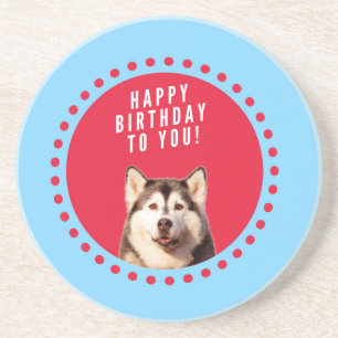 Cute Siberian Husky Happy Birthday blue red dots Coaster