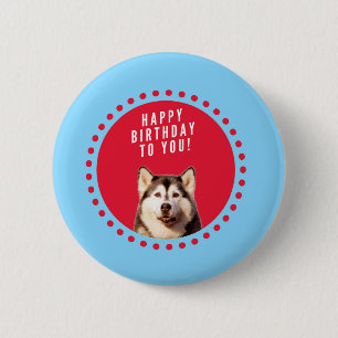 Cute Siberian Husky Happy Birthday blue red dots Pinback Button
