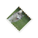 Cute Siberian Husky Paper Napkins