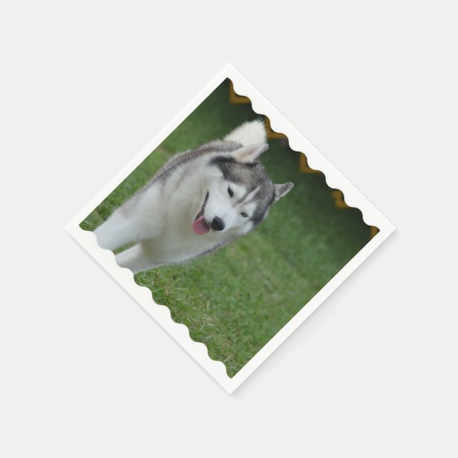 Cute Siberian Husky Paper Napkins (Corner)