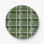 Cute Siberian Husky Paper Plates