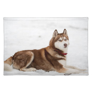 Cute Siberian Husky Portrait Cloth Placemat