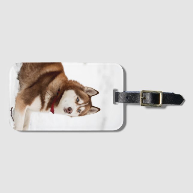Cute Siberian Husky Portrait Luggage Tag (Front Horizontal)