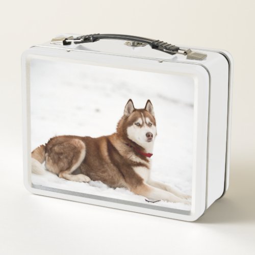 Cute Siberian Husky Portrait Metal Lunch Box