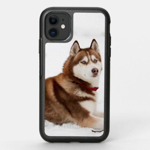 Cute Siberian Husky Portrait OtterBox Symmetry iPhone 11 Case