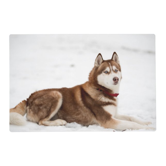 Cute Siberian Husky Portrait Placemat (Front)