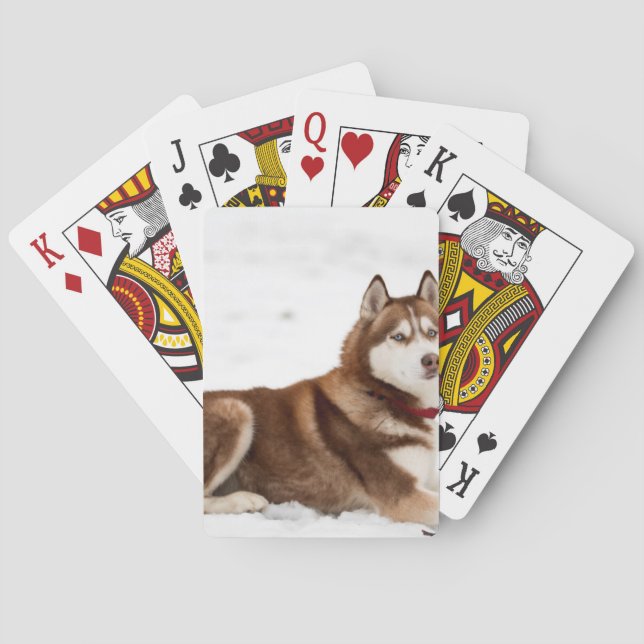 Cute Siberian Husky Portrait Poker Cards (Back)