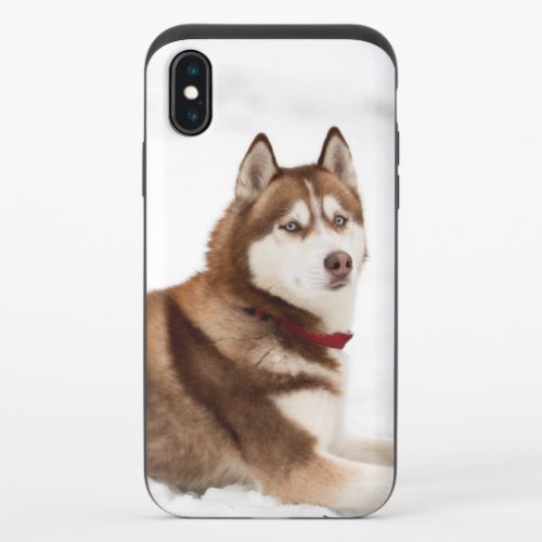 Cute Siberian Husky Portrait iPhone X Slider Case