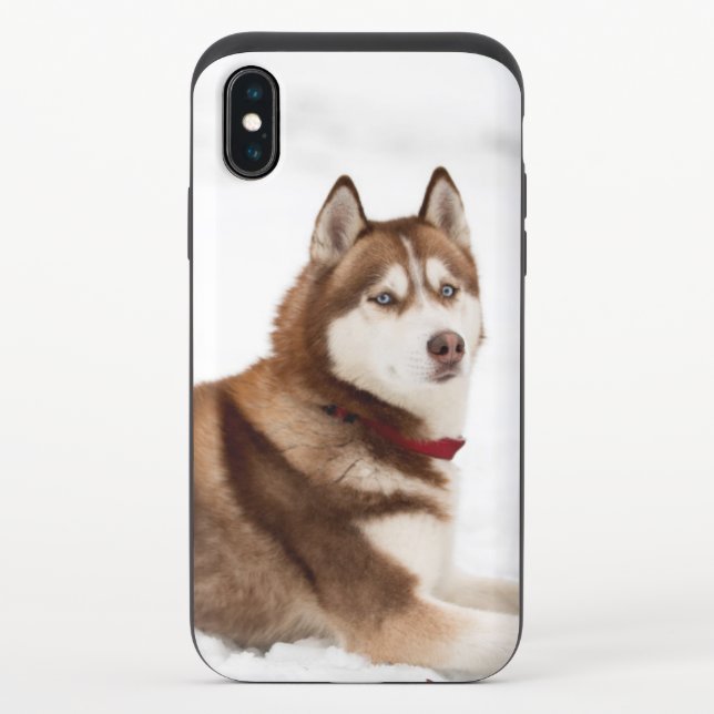 Cute Siberian Husky Portrait Uncommon iPhone Case (Back)