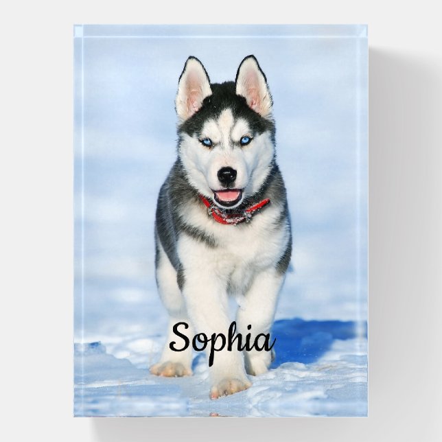 Cute Siberian Husky Puppy Dog in the Snow Paperweight (Vertical)