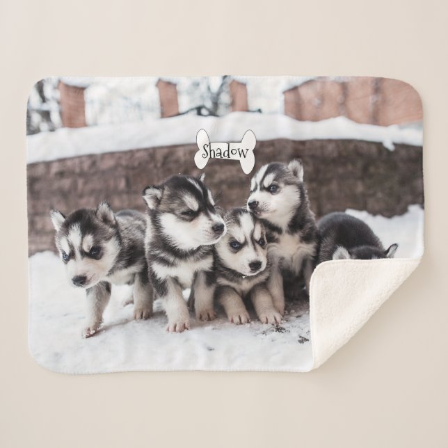 Cute Siberian Husky Puppy Dogs Blanket Name Bone (Front (Horizontal))