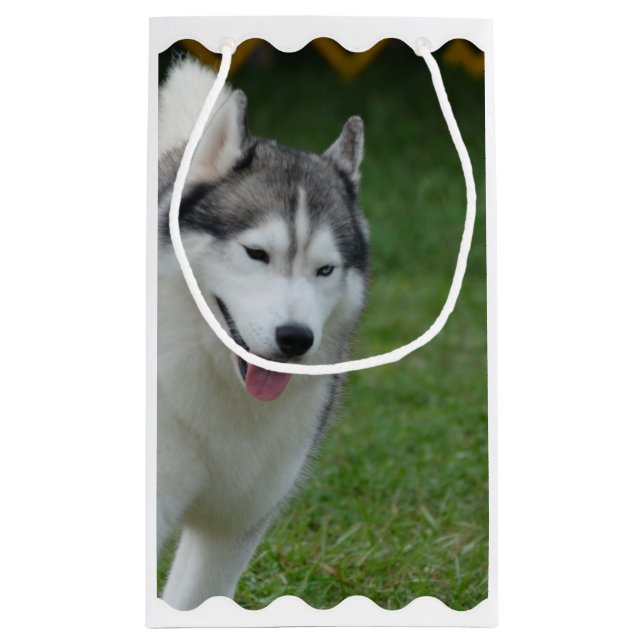 Cute Siberian Husky Small Gift Bag (Back)