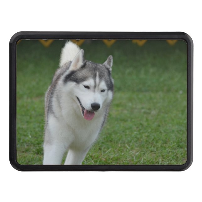 Cute Siberian Husky Tow Hitch Cover (Front)