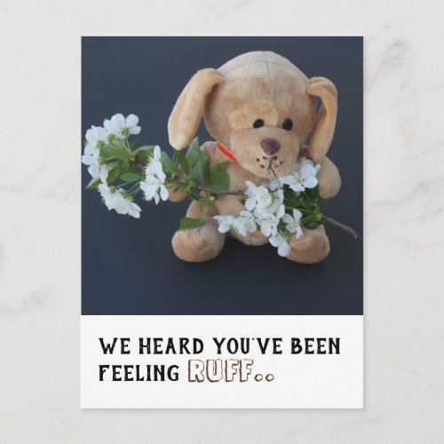 Cute Sick Teddy Dog Get Well postcard