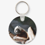 Cute Sifaka Lemur Keychain