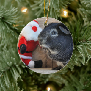 Cute Silver Fox Guinea PIg and Santa Claus Ceramic Ornament