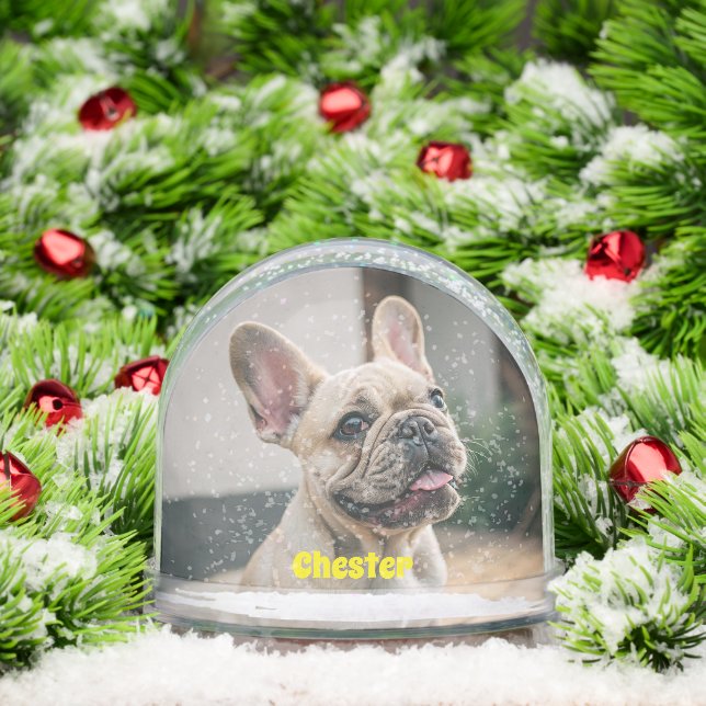 Cute Simple First Name Pet Dog Photo Typography Snow Globe (Christmas)