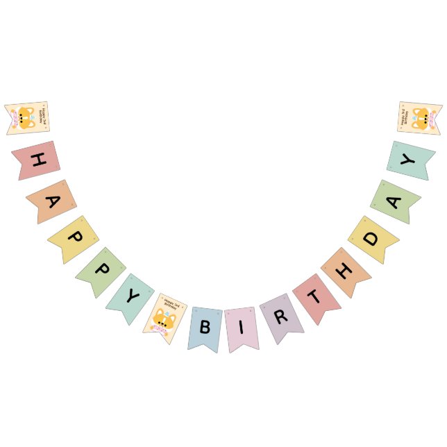 Cute Simple Fun Birthday Party Bunting Flags (All)