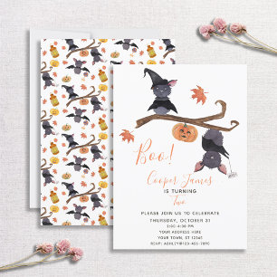 Cute Simple Halloween Bats Child's 2nd Birthday Invitation