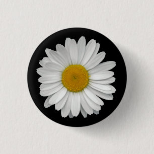 Cute Simple White Daisy Flower on Black Button