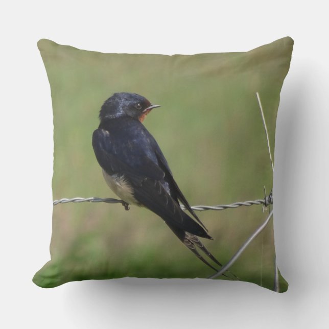 Cute Sitting Barn Swallow Throw Pillow (Front)
