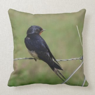 Cute Sitting Barn Swallow Throw Pillow