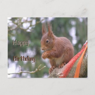 Cute Sitting Squirrel Happy Birthday Postcard