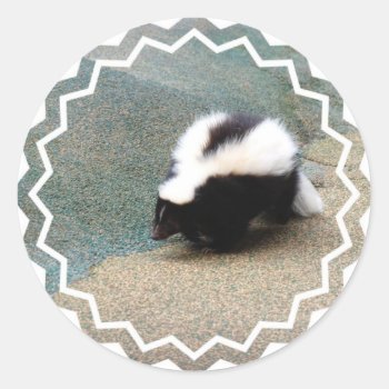 Cute Skunk Sticker by WildlifeAnimals at Zazzle