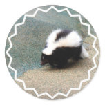 Cute Skunk Sticker