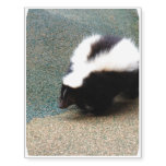 Cute Skunk Temporary Tattoos