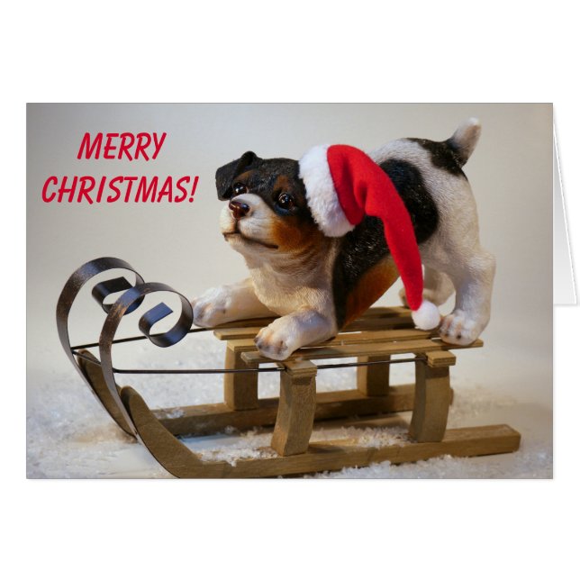 Cute Sled Dog Christmas Cards (Front Horizontal)