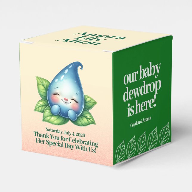 Cute Sleeping Baby Dewdrop Baby Shower Favor Boxes (Front Side)