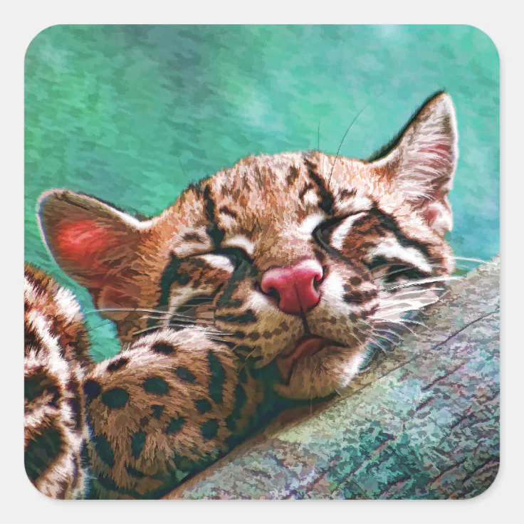 Cute Sleeping Baby Ocelot Kitten Square Sticker | Zazzle