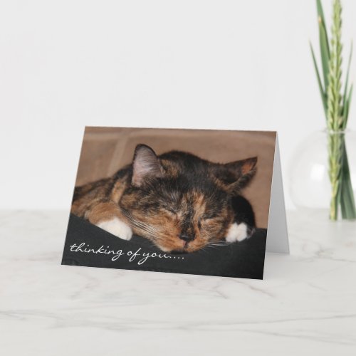 Cute Sleeping Cat Card Thinking of you Card