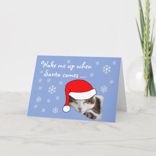 Cute Sleeping Cat Santa Hat Snowy Christmas Holiday Card