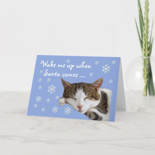 Cute Sleeping Cat Snowflakes Blue Christmas Card