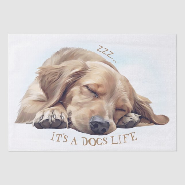 Cute Sleeping Dog Illustrated Tissue Paper (Front)