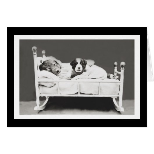 Cute Sleeping Dogs by Harrier Whittier Frees Cards (Front Horizontal)