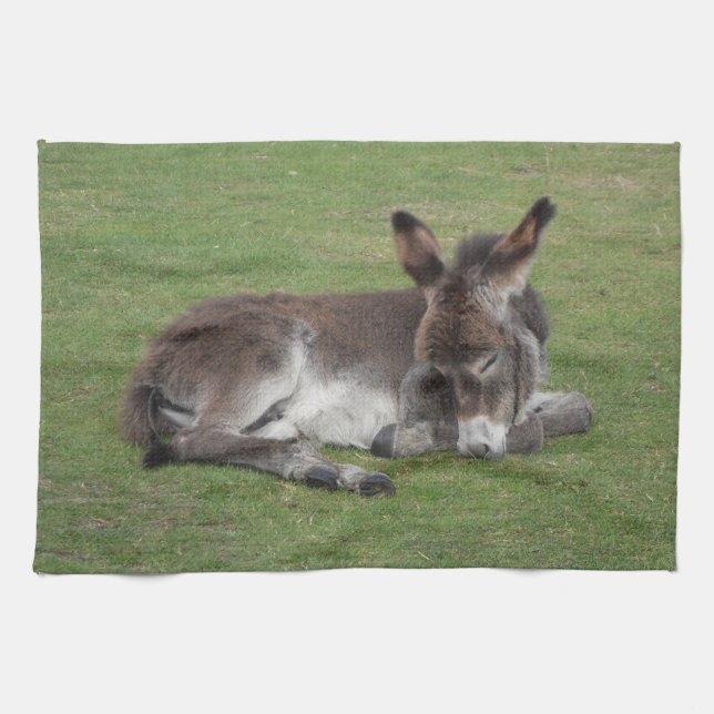 Cute Sleeping Donkey Baby Foal Kitchen Towel (Horizontal)
