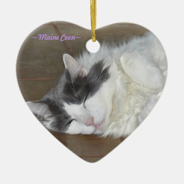Cute sleeping fluffy cat Ornament (Front)
