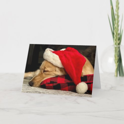 Cute Sleeping Golden Retriever Dog Christmas Holiday Card