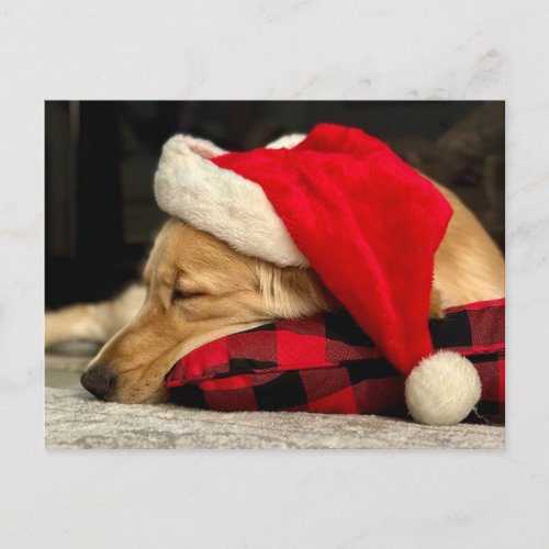 Cute Sleeping Golden Retriever Dog Christmas Postcard
