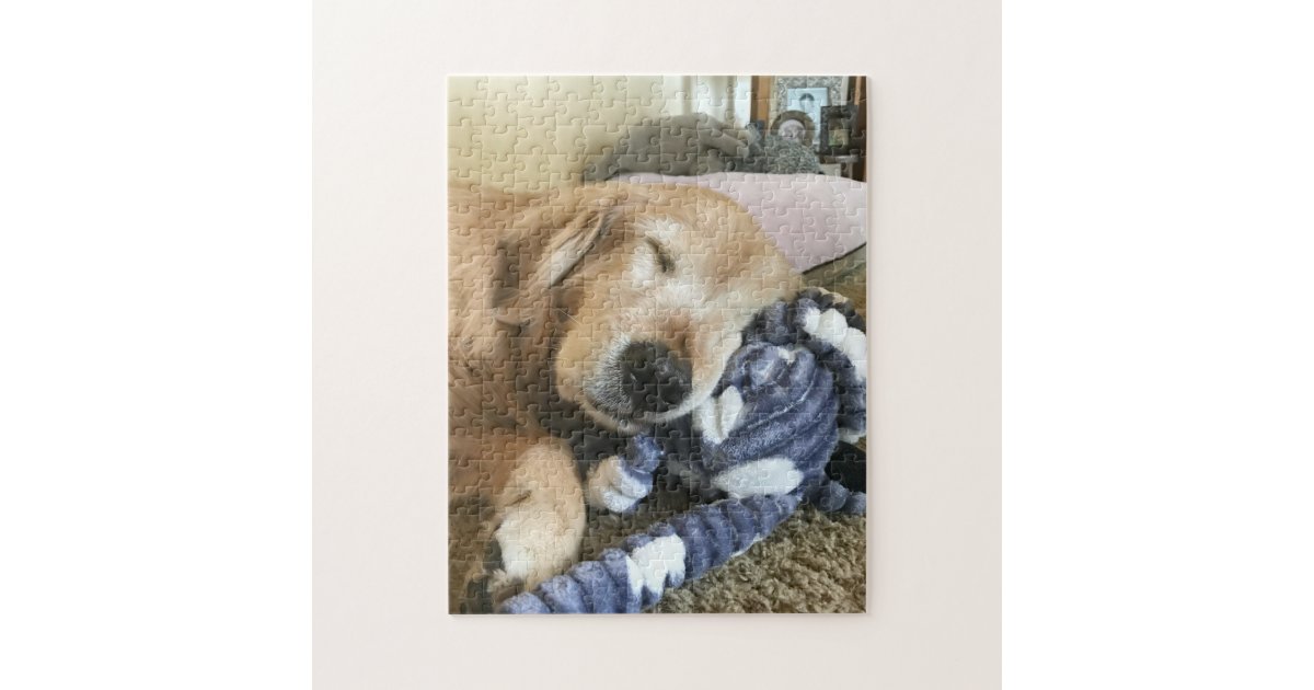 Cute Sleeping Golden Retriever Dog Jigsaw Puzzle Zazzle Com