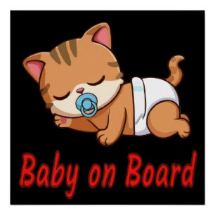 Cute Sleeping Kitten Cat   Baby on Board Car Decal Poster
