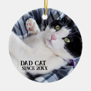 Cute Sleeping Kitten Ceramic Ornament
