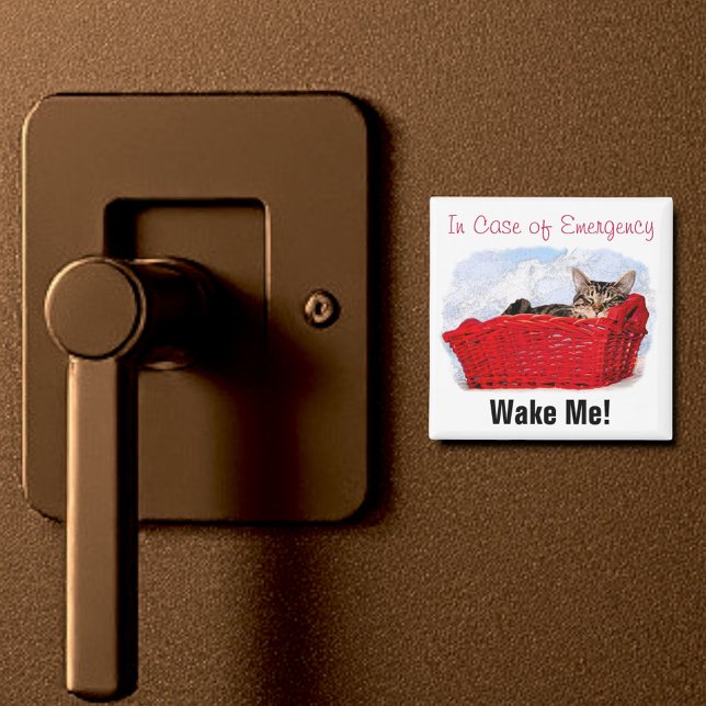 Cute Sleeping Kitten In Bright Red Basket Custom Magnet (2" square magnet)