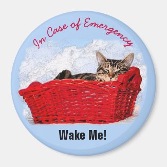 Cute Sleeping Kitten In Red Basket Custom Photo
