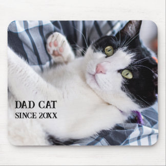 Cute Sleeping Kitten Mouse Pad